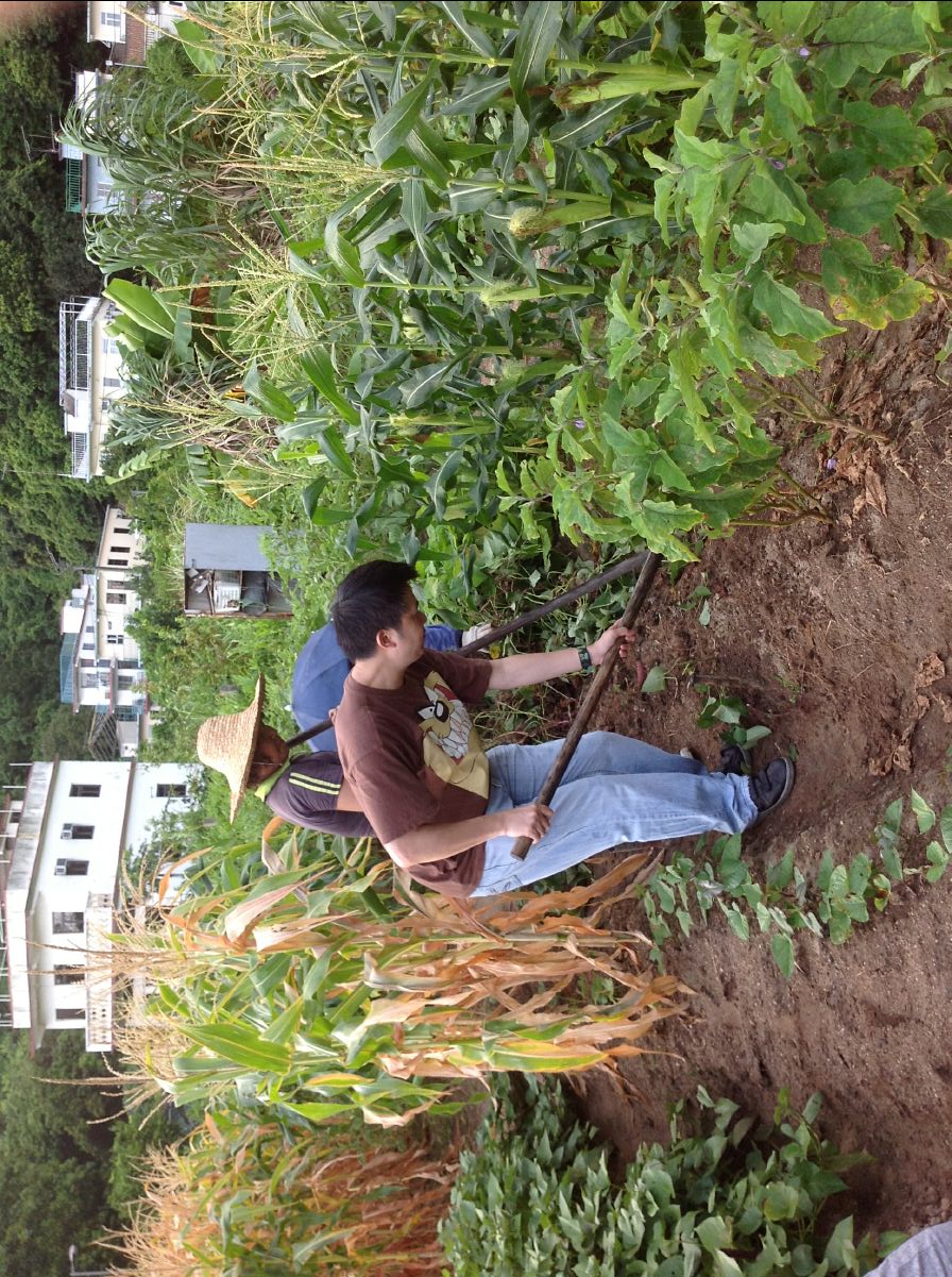 20100715Organic Farm23